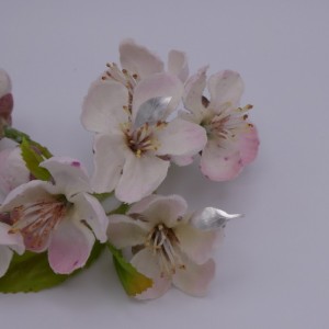 Boucles d'oreilles Feuilles lancéolées